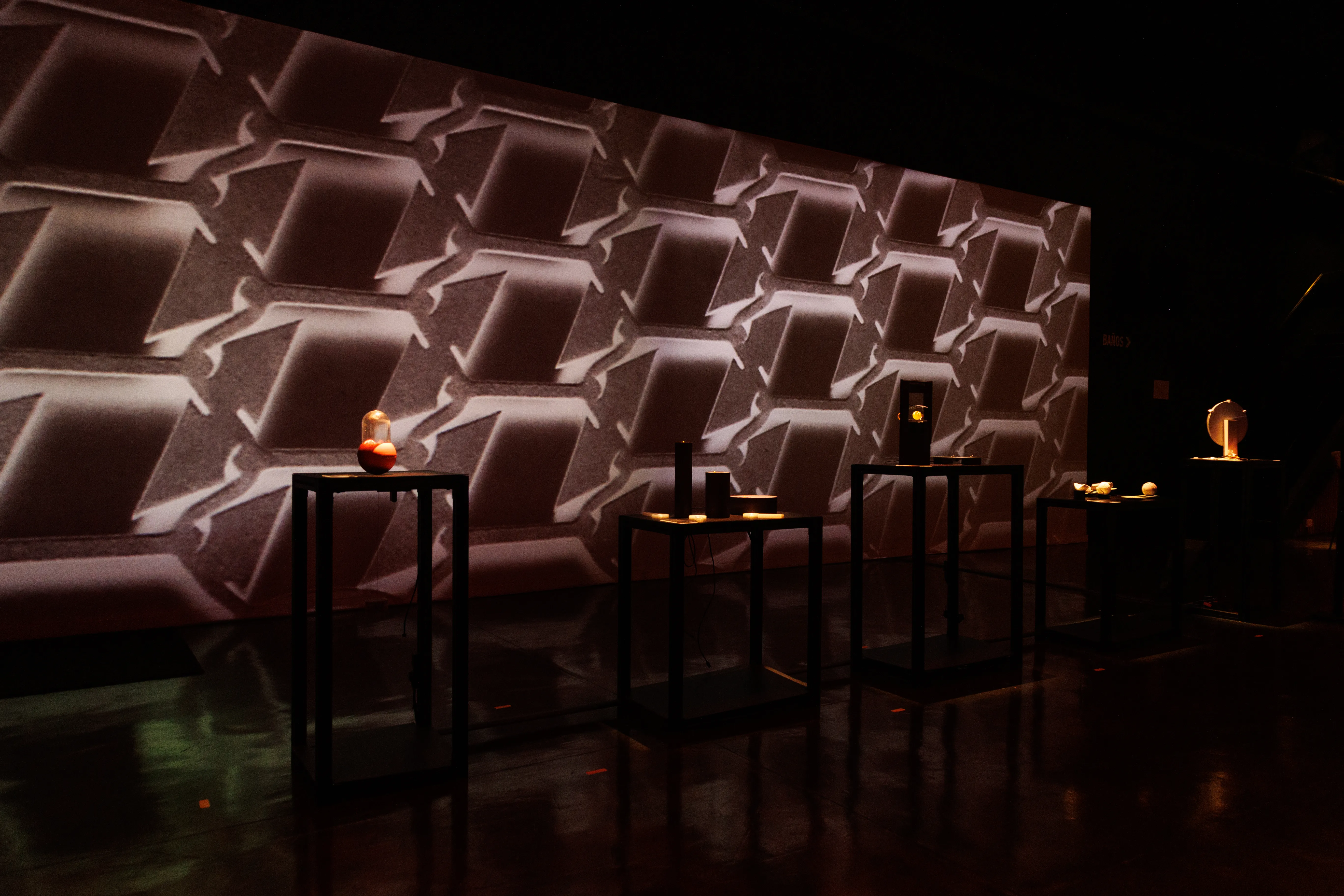 Exhibition image 1